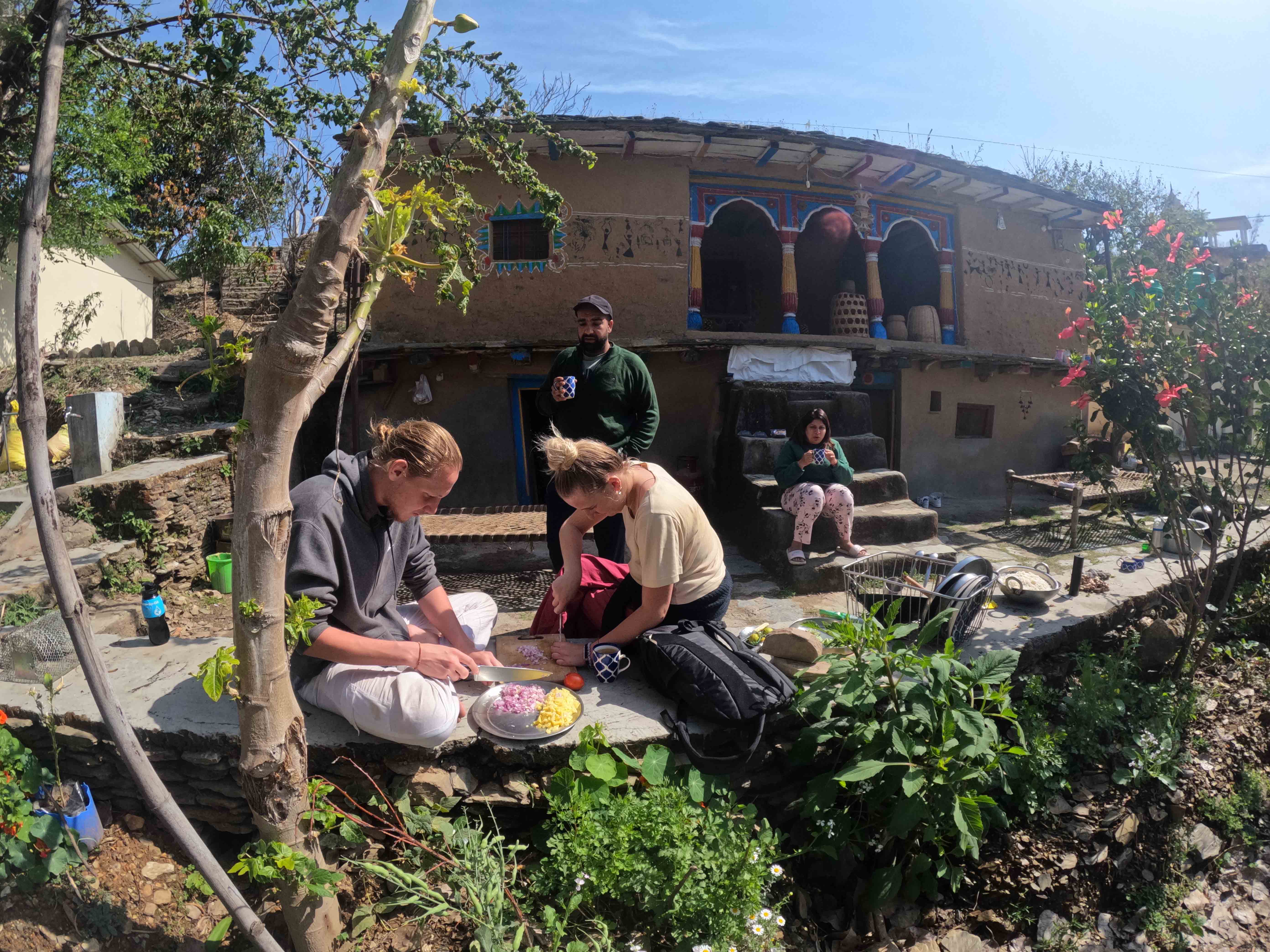 Ancient peepal tree at Himalayan Tribe