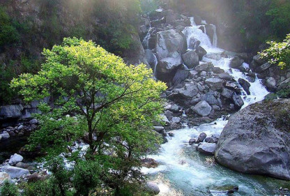 Panch Kedar Yatra – Sacred Himalayan Pilgrimage
